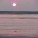 Pink Waters