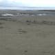 Footprints in the Sand - gone at high tide!