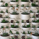 This design utilizes wall tiles with built-in planters.