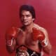The Champ