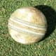 This type of ball is used in one day and day-night matches.