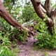 gilroy-nature-park