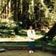 muir-woods-national-monument-old-growth-forest-near-san-francisco