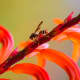 Shoot in direct light for clarity and detail.