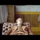 the-babysitter-killer-queen-2020-a-satanic-movie-review