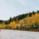 A scenic drive along Logan Canyon in Utah