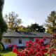 Burning Bush