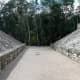 A Maya Pitz Court