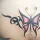 butterfly-tattoos