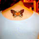 butterfly-tattoos