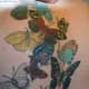 butterfly-tattoos