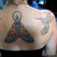 butterfly-tattoos