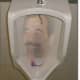 most-unusual-urinals-ever