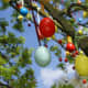 You may see eggs hung in outdoor trees in Russia.