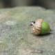 fall-autumn-jewelry-making-inspiration-designs-colors-other-ideas