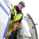 top-10-most-success-and-famous-dog-breed-creators