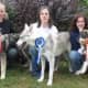 Game of Thrones Northern Inuit Dogs