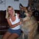 King Shepherd