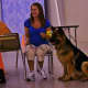 King Shepherd