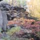 Rocks and fall colors along Sandy Creek Trail