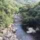 your-guide-to-yakushima-with-no-car