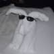 Which towel animal will we find on our bed tonight?