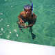 Puffer fish found while snorkeling at Cabo San Lucas