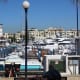 Sea Lions at the Cabo San Lucas Marina
