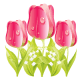 Three pink tulips free flower clipart (small)