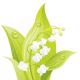 free white flower clip art