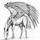 Pegasus