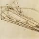 Drawing of a flying machine Leonardo-da-Vinci