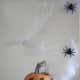 Put your pumpkin under spider web and put spiders around it like it is under attack.