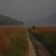 best-tiger-reserves-in-india