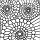 Geometric Design Colouring Pictures Stained Glass Colouring Pages to Print and Colour - Spirals of Nature