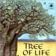 Tree of Life: The World of the African Baobab (Tree Tales) by Barbara Bash - Image credit: amazon.com