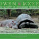 Owen & Mzee: The True Story of a Remarkable Friendship by Isabella Hatkoff
