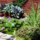 Our Original wildlife pond