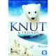 national-polar-bear-day
