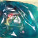 The completed edible cell model