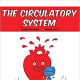 The Circulatory System (Building Blocks of Life Science) by Joseph Midthun