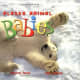 Alaska Animal Babies by Deb Vanasse