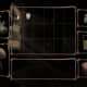 Amnesia Gameplay