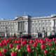 poem-the-palace-i-built