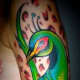 peacock-tattoos-and-meanings-peacock-feather-tattoos-and-meanings-peacock-tattoo-designs