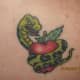 apple-tattoos-and-designs-apple-tattoo-meanings-and-ideas-apple-tattoo-pictures