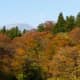 Near the Kanmangafuchi abyss in Nikko, Japan. Post processed to bring up the colors.