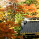 A temple roof in Nikko, Japan surrounded by autumn foliage. The colors in the top right are much more washed out as they are in bright sunlight.