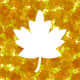 Fall leaf clipart frame.