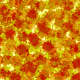 Fall leaves pattern.